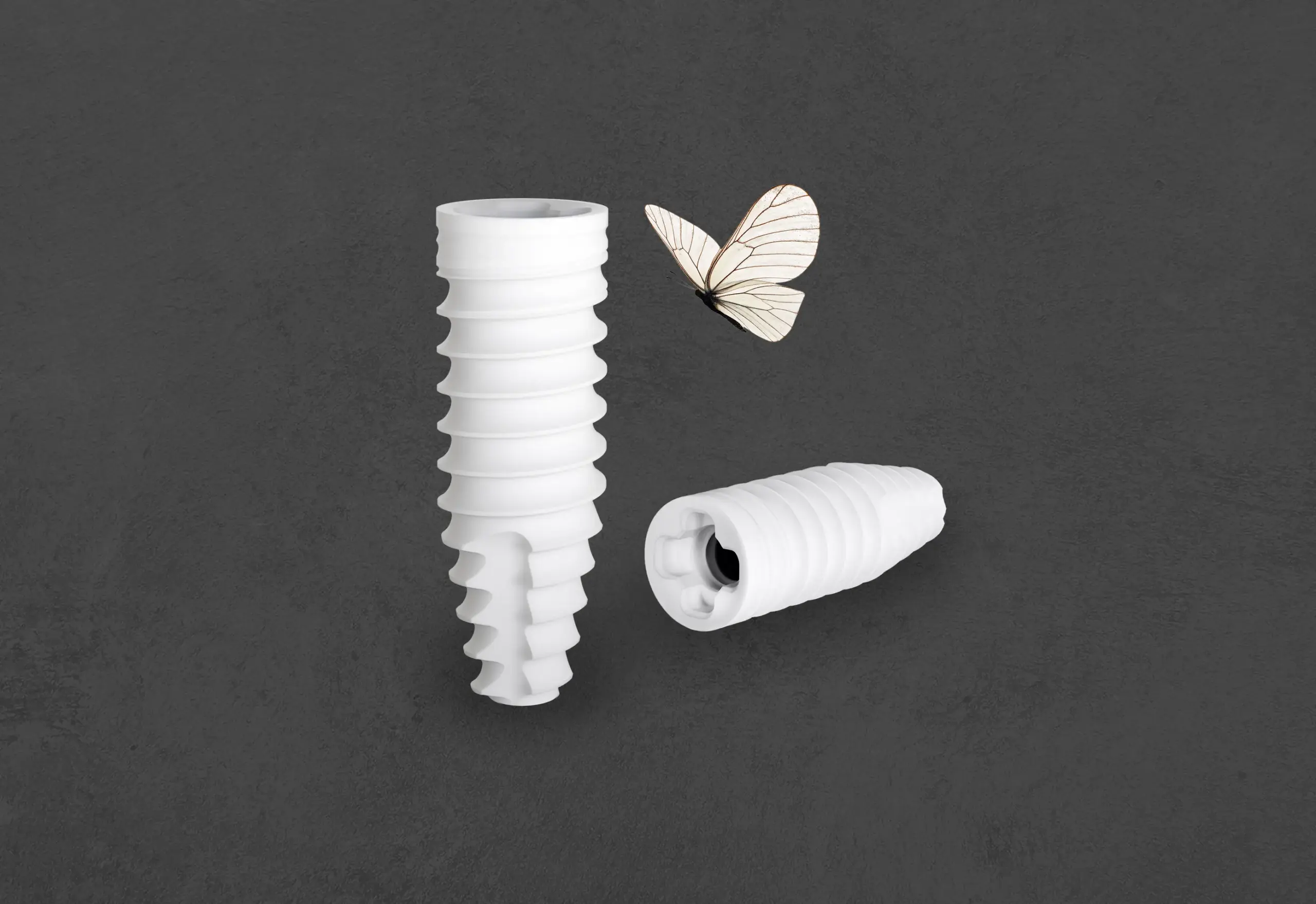 kochel-praxisklinik-ceralog-implantate-keramik_4-3 Praxisklinik Kochel Keramik Implantate Schaubild